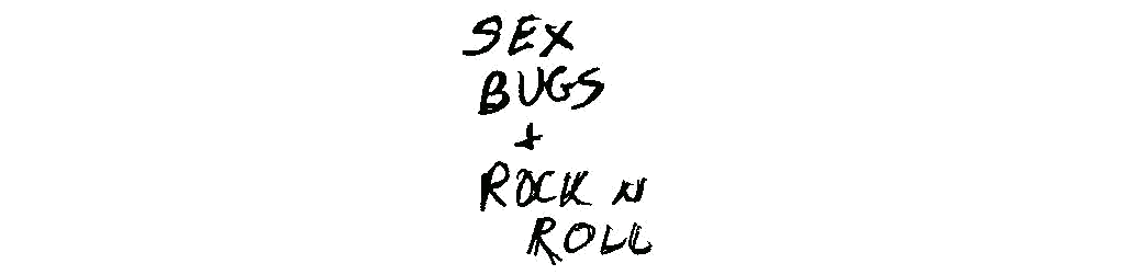 Sex'n Bugs'n Rock'n Roll, czyli...